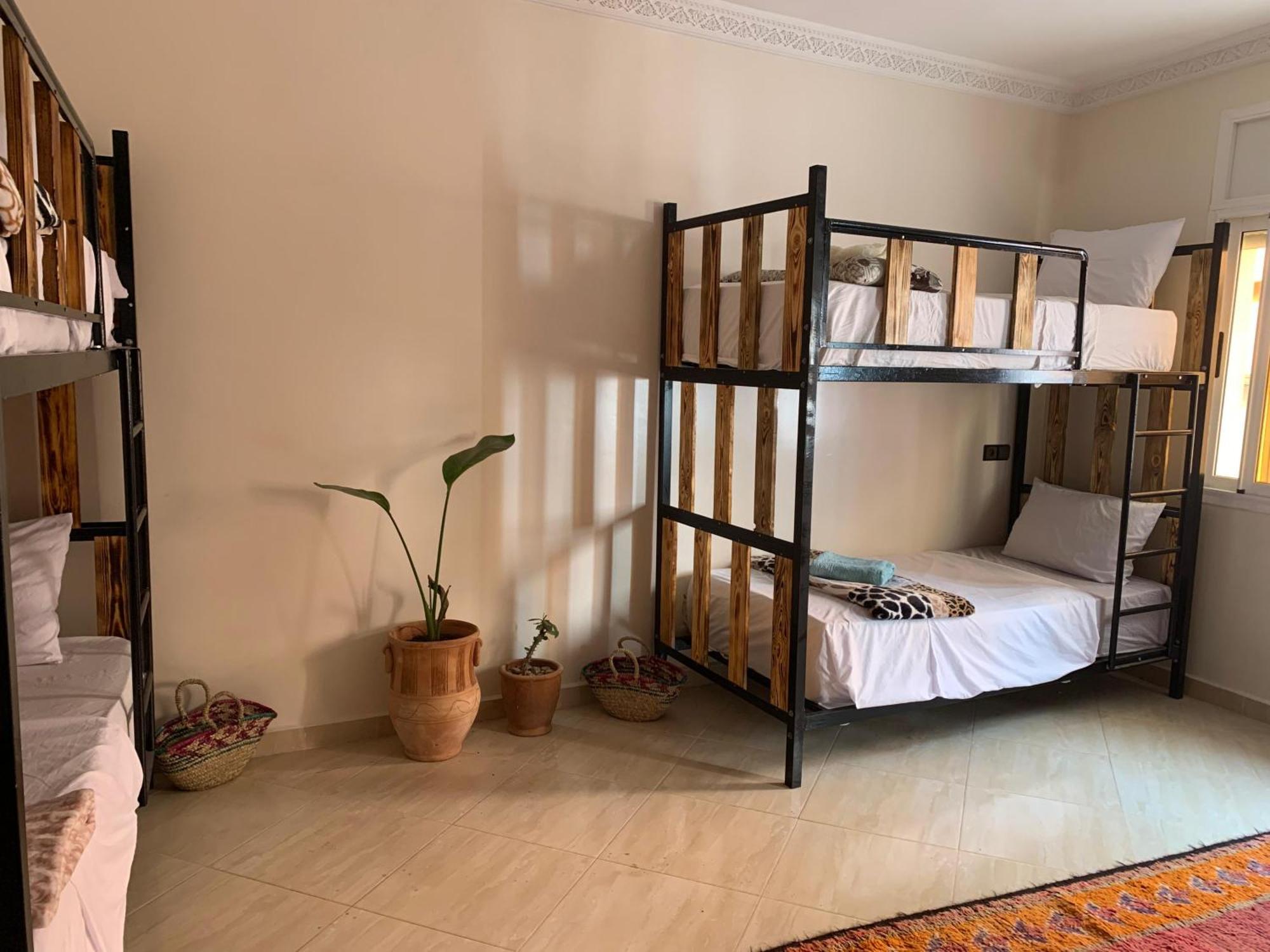 Chill Surfer Hostel Tamraght エクステリア 写真